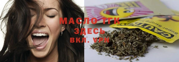 твердый Краснослободск