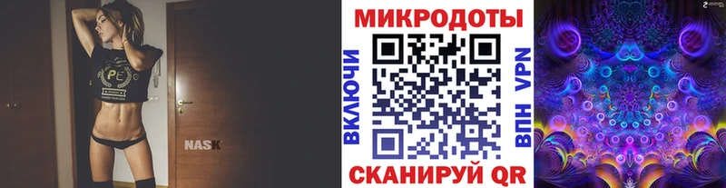 Купить закладки  Белёв  Псилоцибиновые грибы Psilocybine cubensis 